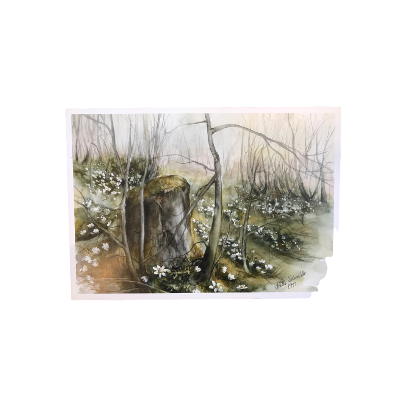 Bymarka, Trondheim - Kunstkort