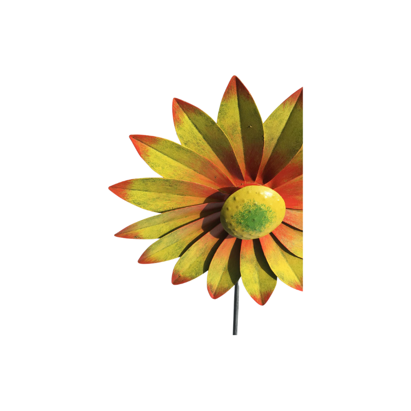 Vindmølle chrysanthemum