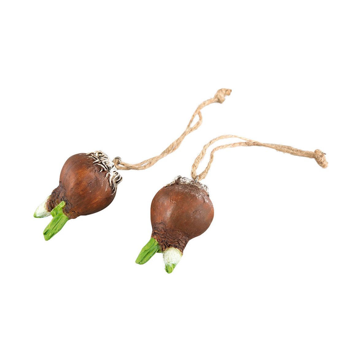 Blomsterløk - Oppheng