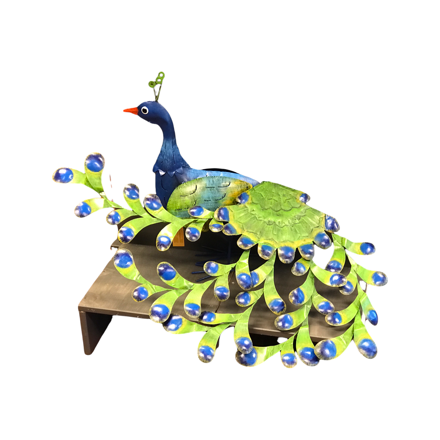 Påfugl