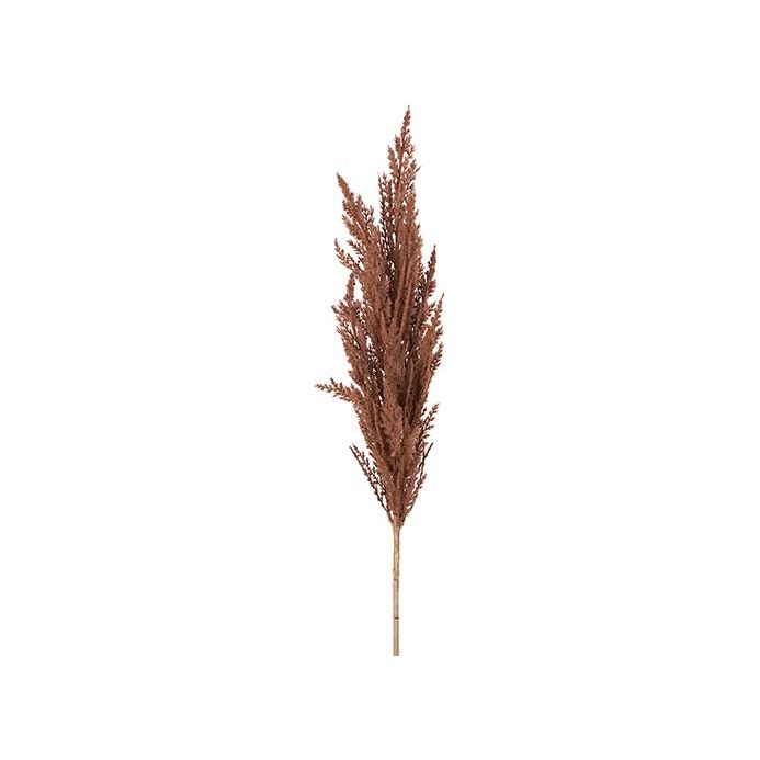 Pampas