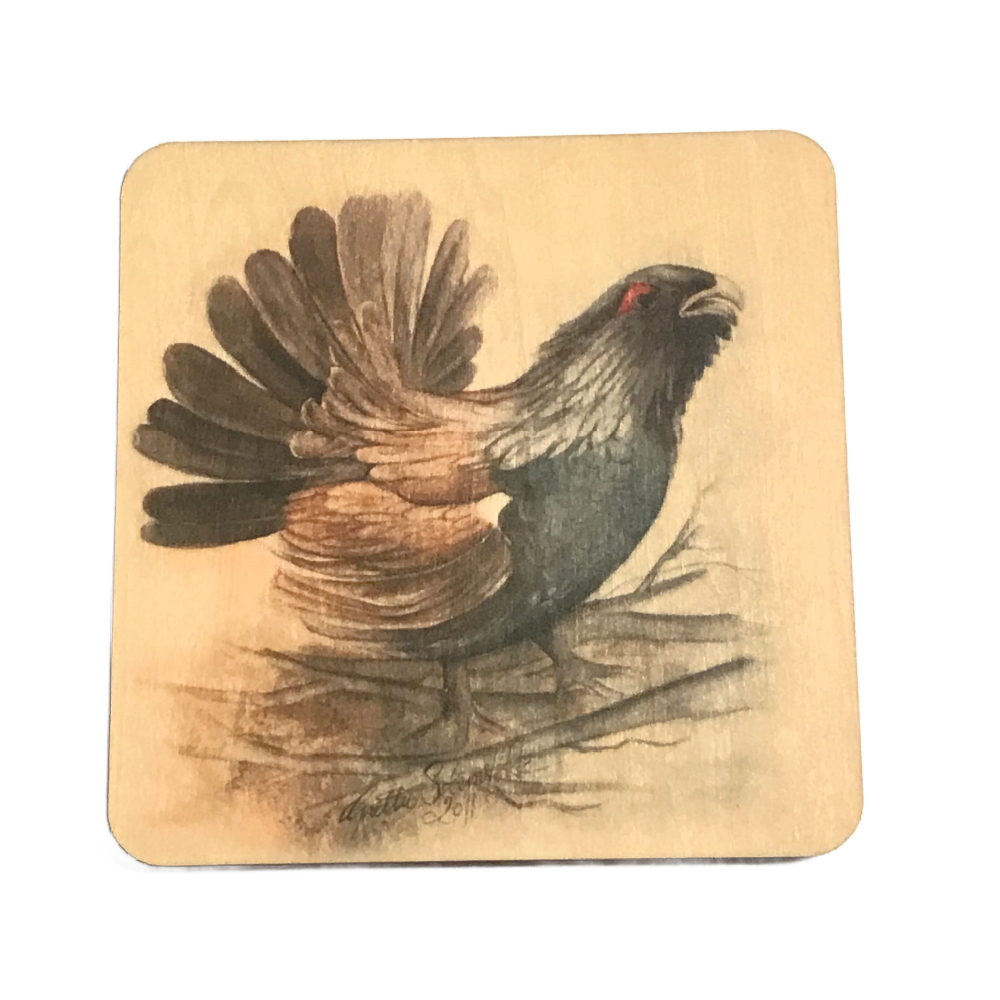 Coasters - Tiur -4 pk.