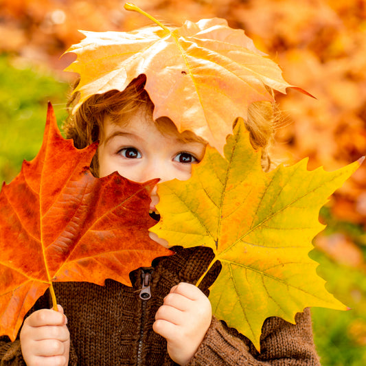 Høsten gir oss ett bredt spekter av farger, fra syrlig grønn til dype rust-toner, men i hovedsak lune, gode, varme farger. Farger som vi liker og ha rundt oss når det blir kaldere ute.
