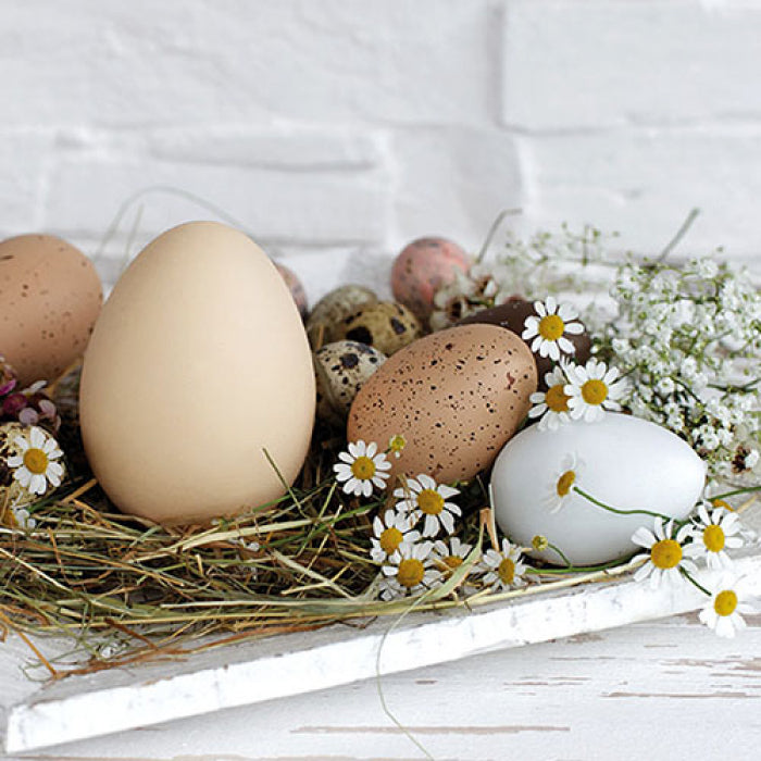 Servietter - Pastel eggs
